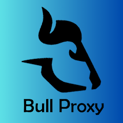 چگونگی اتصال به وی پی ان فعال BULL VPN Proxy